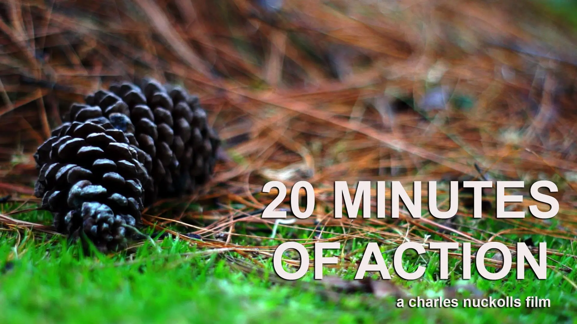 20 Minutes of Action_peliplat