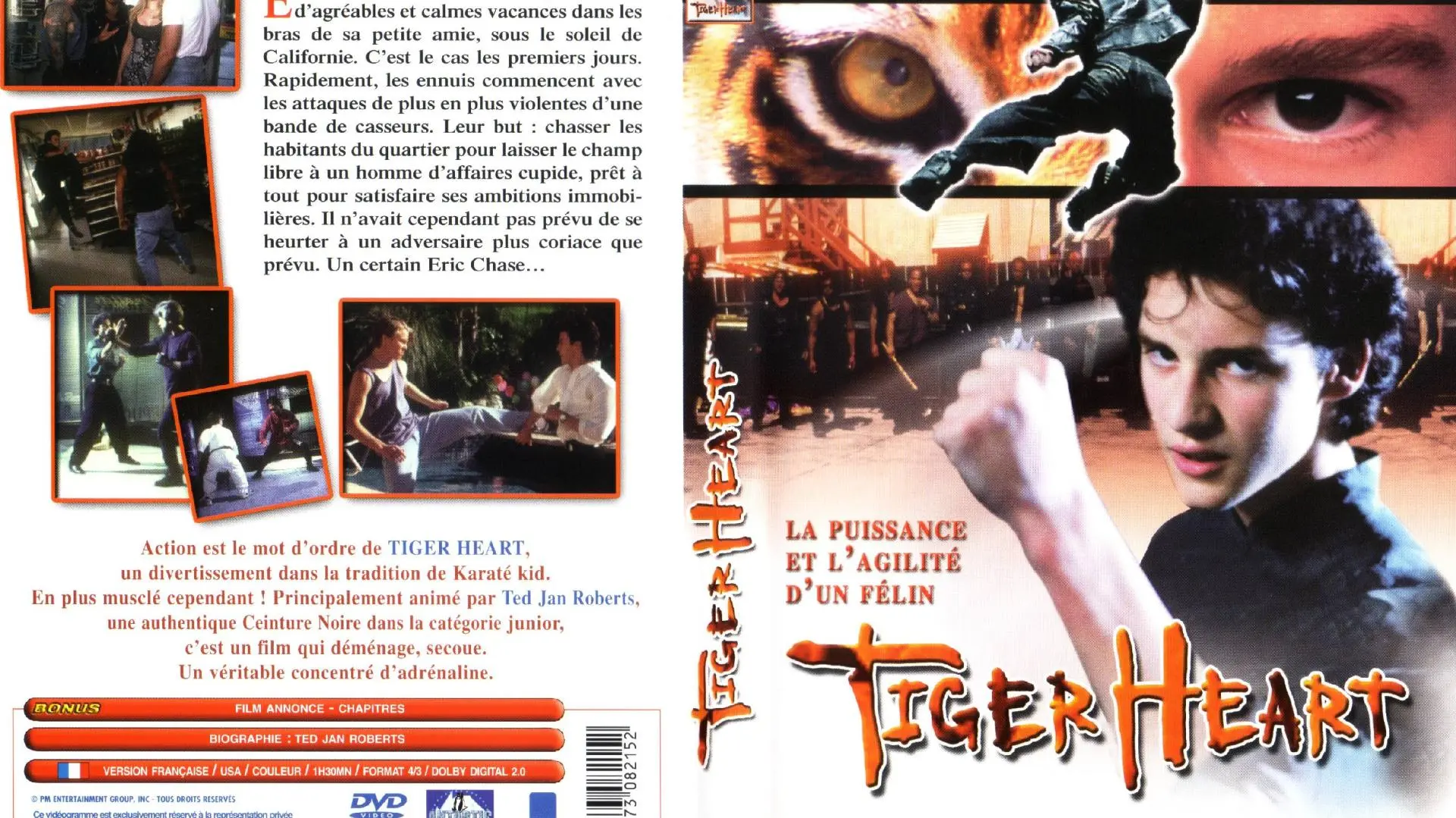 Tiger Heart_peliplat