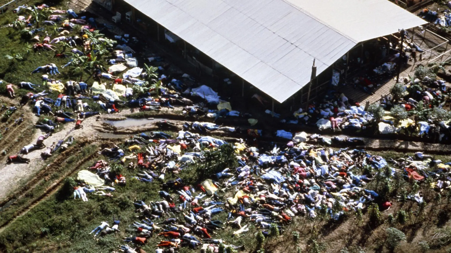Jonestown: The Life and Death of Peoples Temple_peliplat
