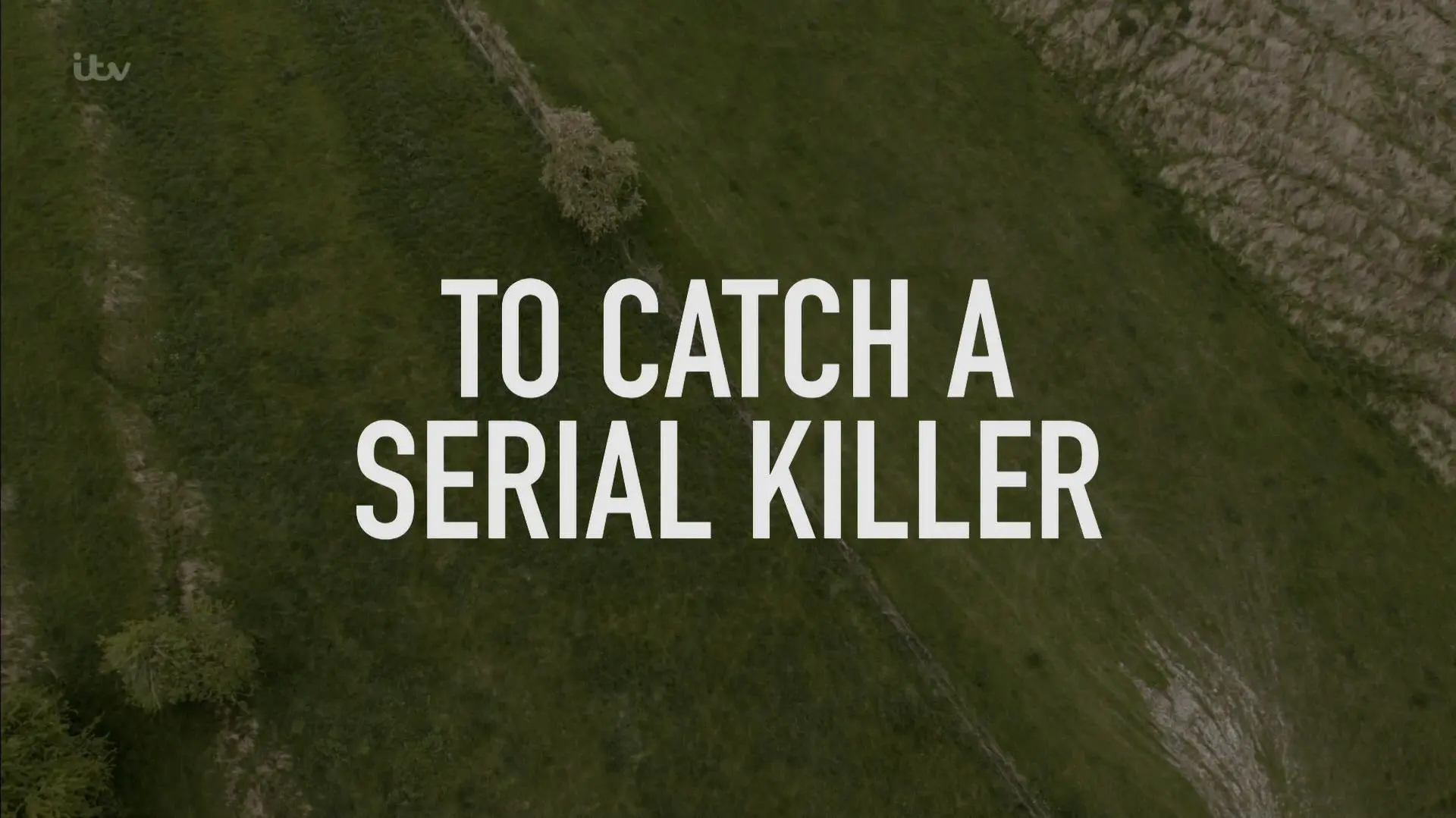 How to Catch a Serial Killer_peliplat