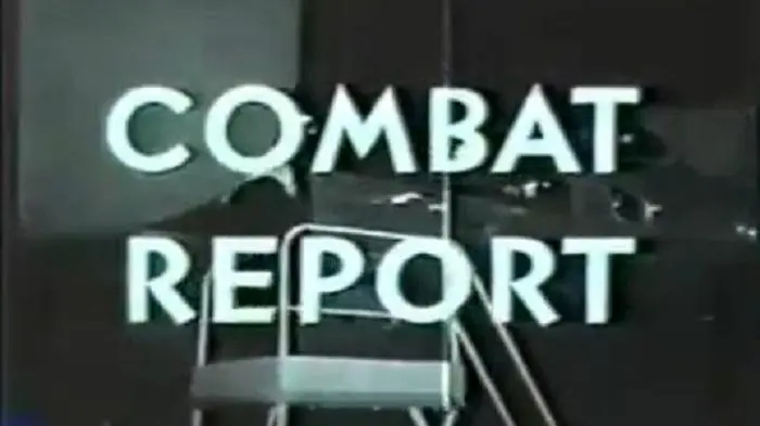 Combat Report_peliplat