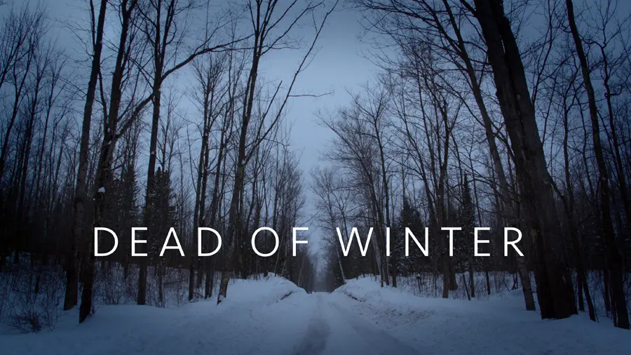 Dead of Winter_peliplat