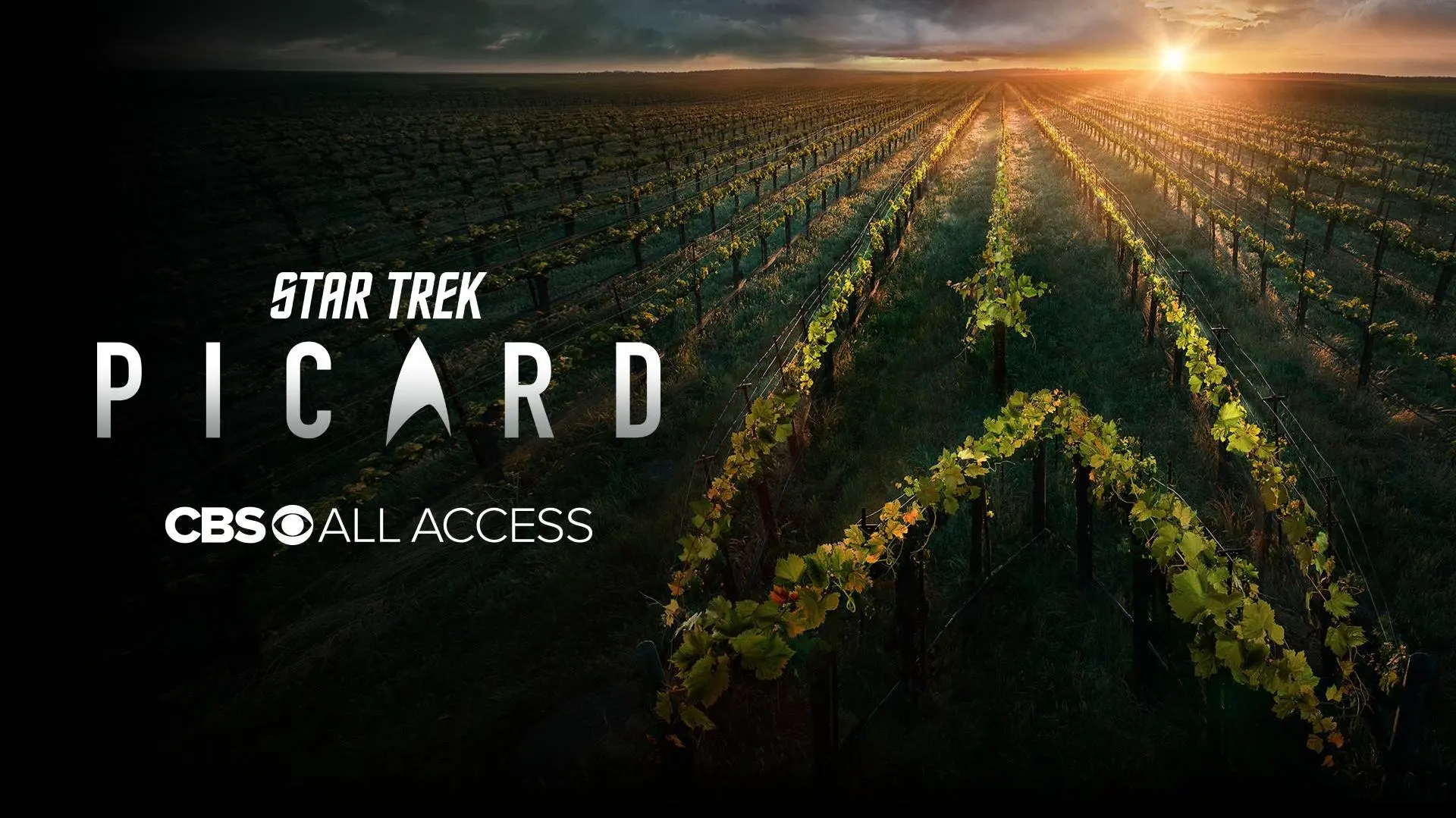 Star Trek: Picard_peliplat
