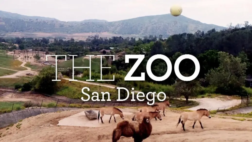 The Zoo: San Diego_peliplat