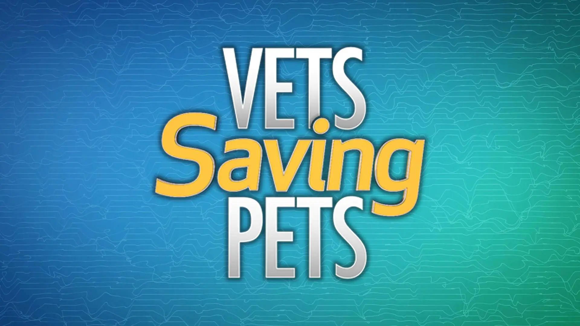 Vets Saving Pets_peliplat