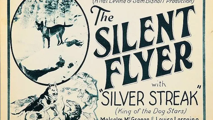 The Silent Flyer_peliplat