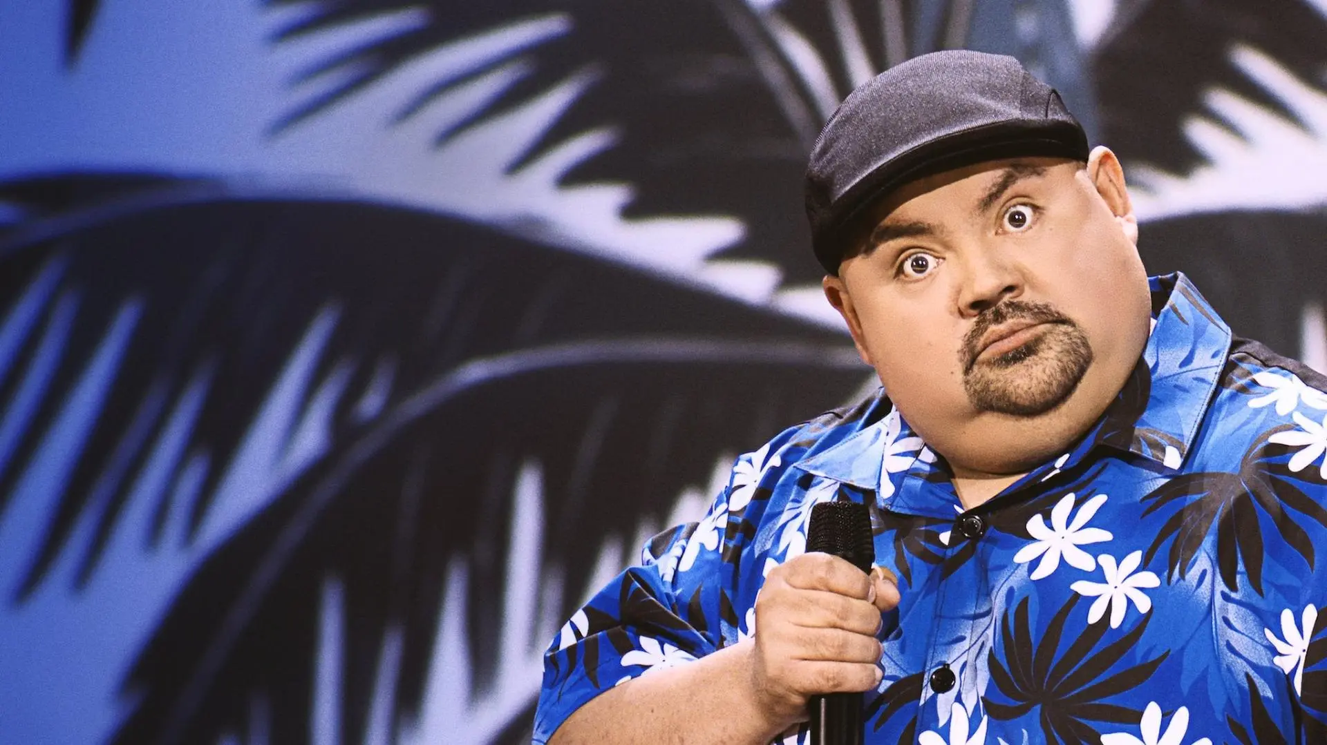 Gabriel "Fluffy" Iglesias: One Show Fits All_peliplat