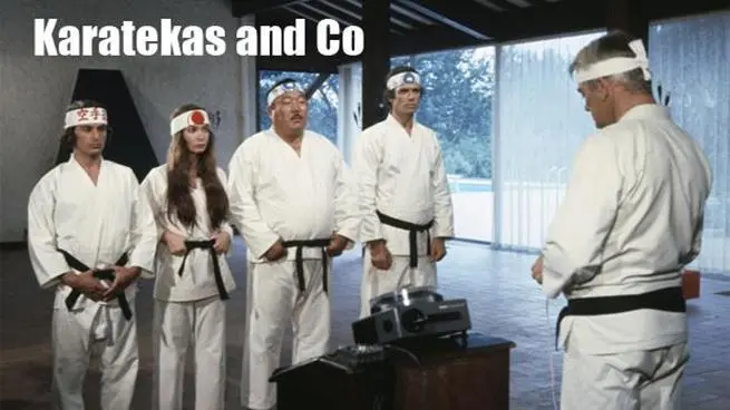 Karatekas and co_peliplat