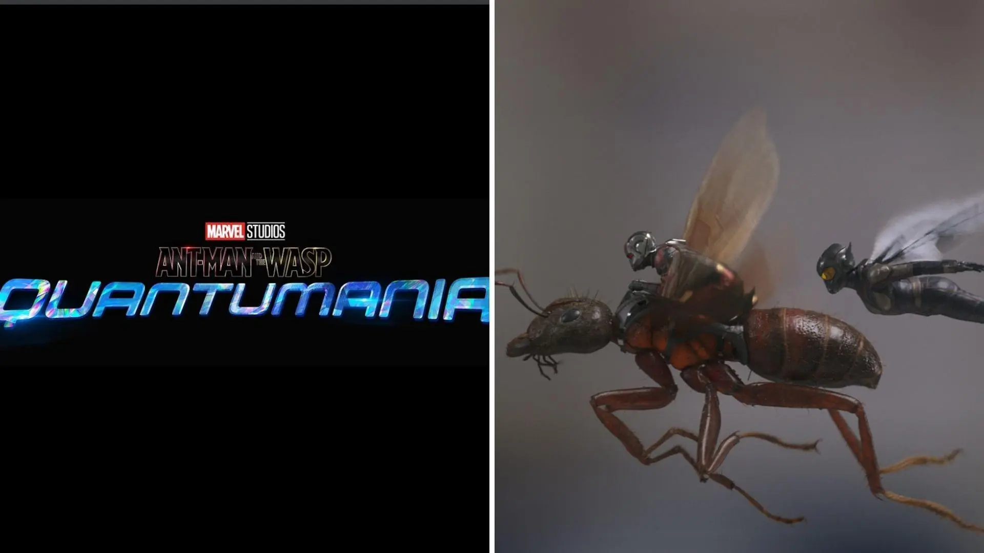 Ant-Man and the Wasp: Quantumania_peliplat