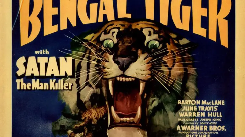 Bengal Tiger_peliplat