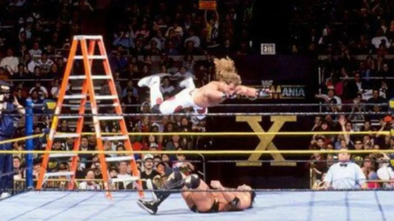 WWE the Ladder Match 2: Crash & Burn_peliplat