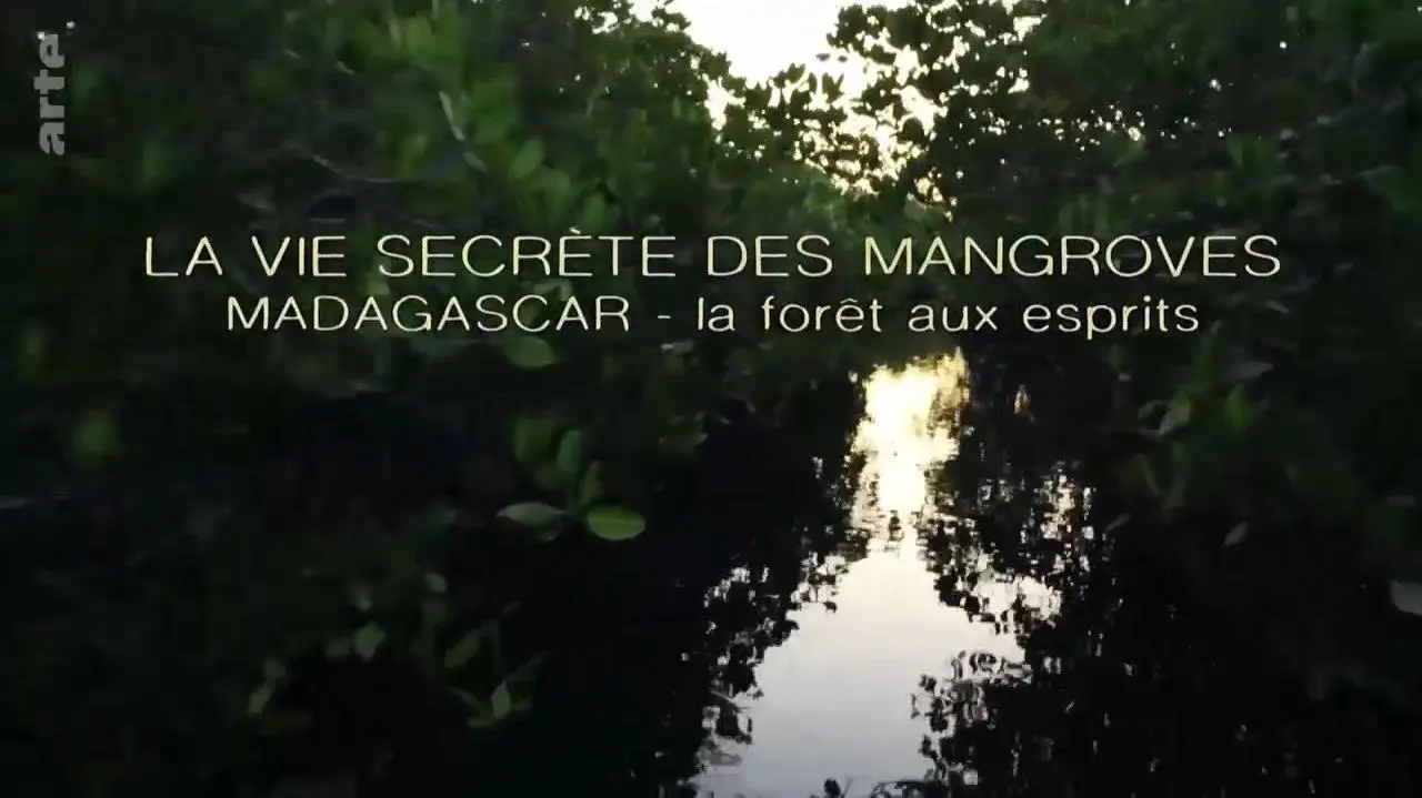 La vie secrète des mangroves_peliplat