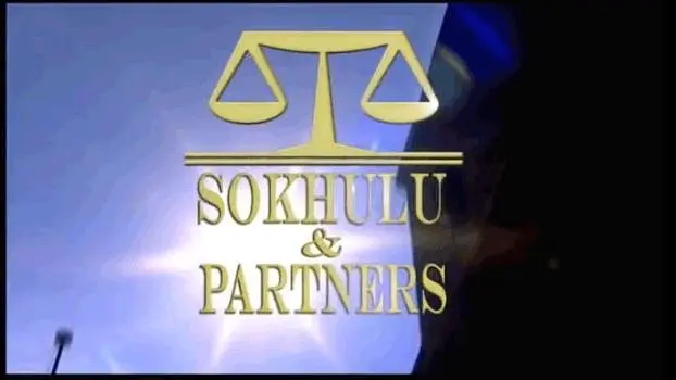 Sokhulu and Partners II_peliplat