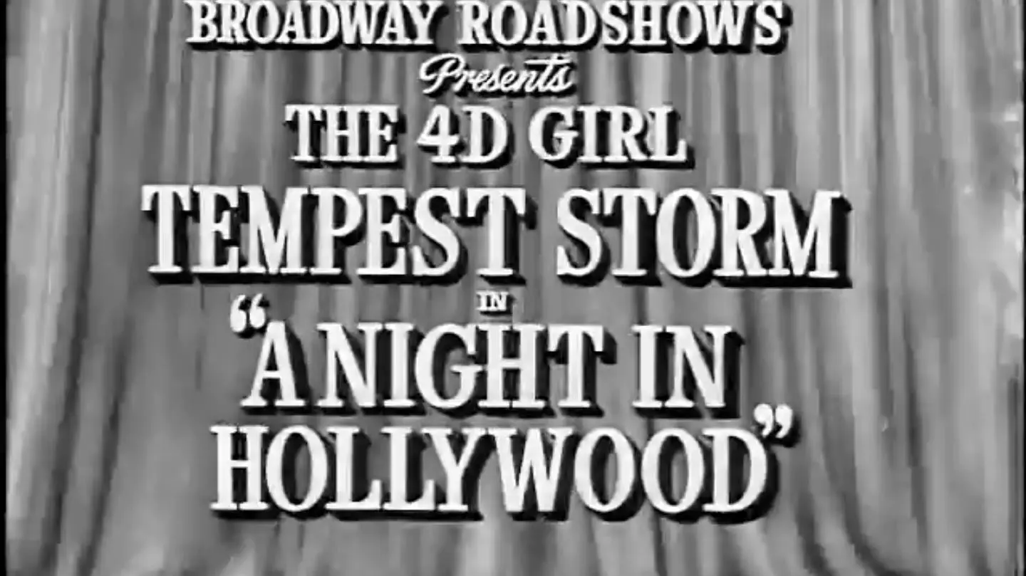 A Night in Hollywood_peliplat