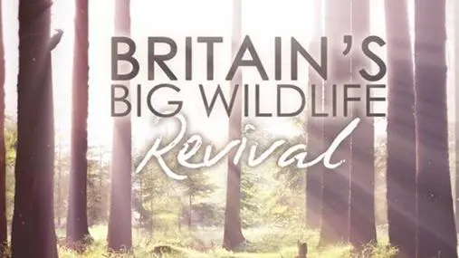 Britain's Big Wildlife Revival_peliplat