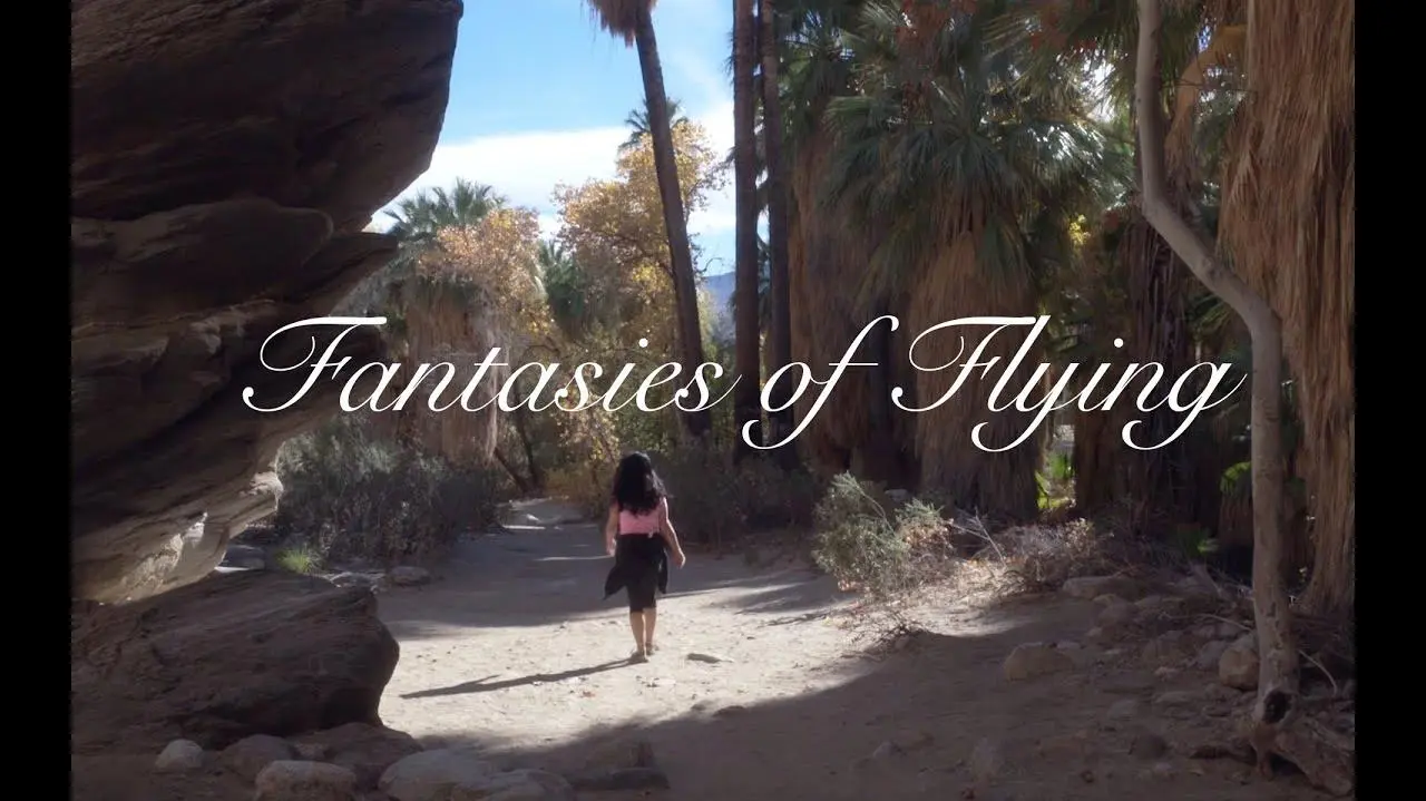 Fantasies of Flying_peliplat