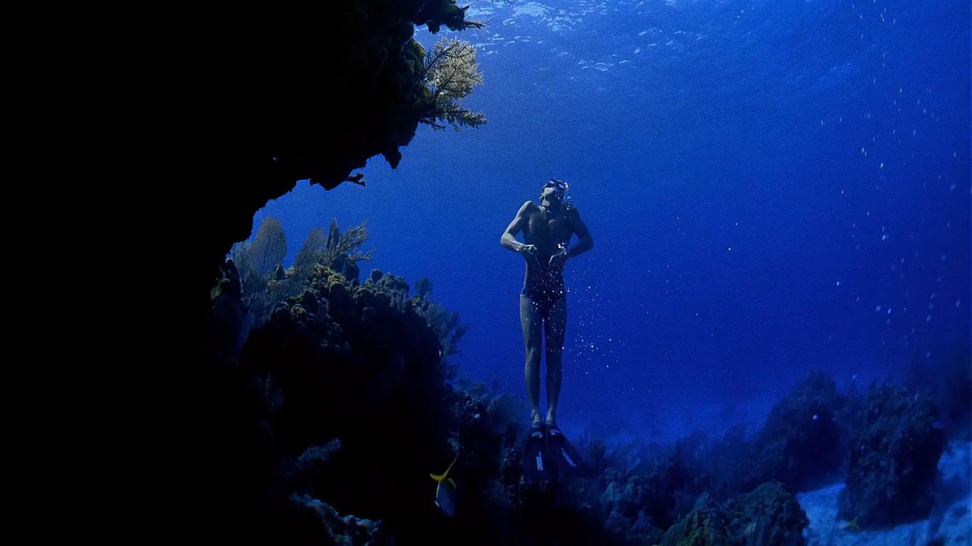 Ocean Men: Extreme Dive_peliplat