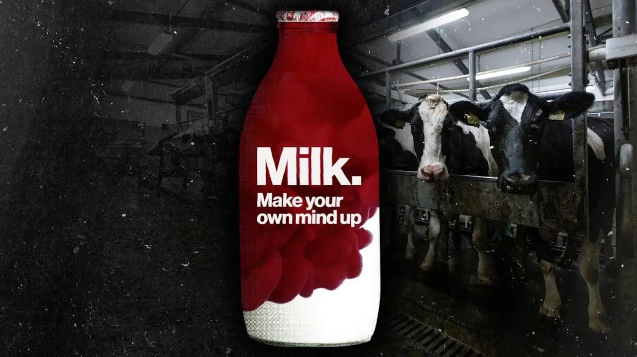 Milk: Make Your Own Mind Up_peliplat