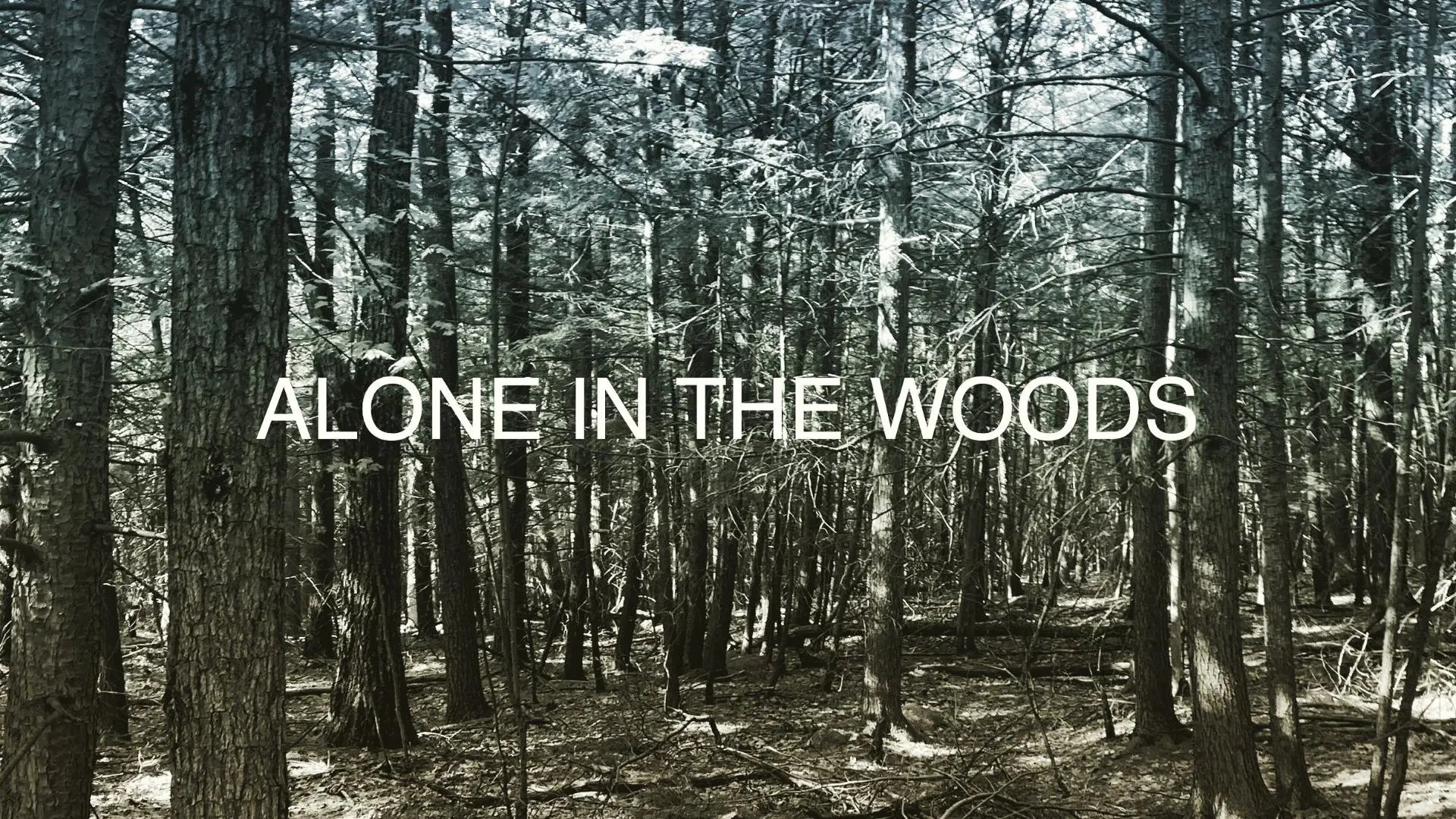 Alone in the Woods_peliplat