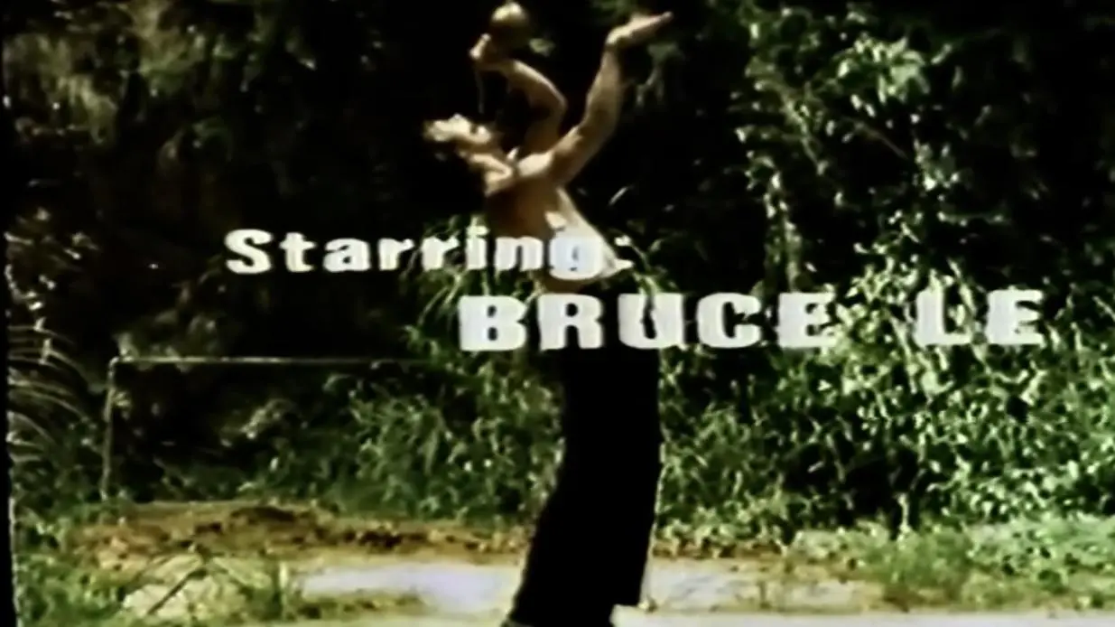 Bruce Lee el rey del Kung Fu_peliplat