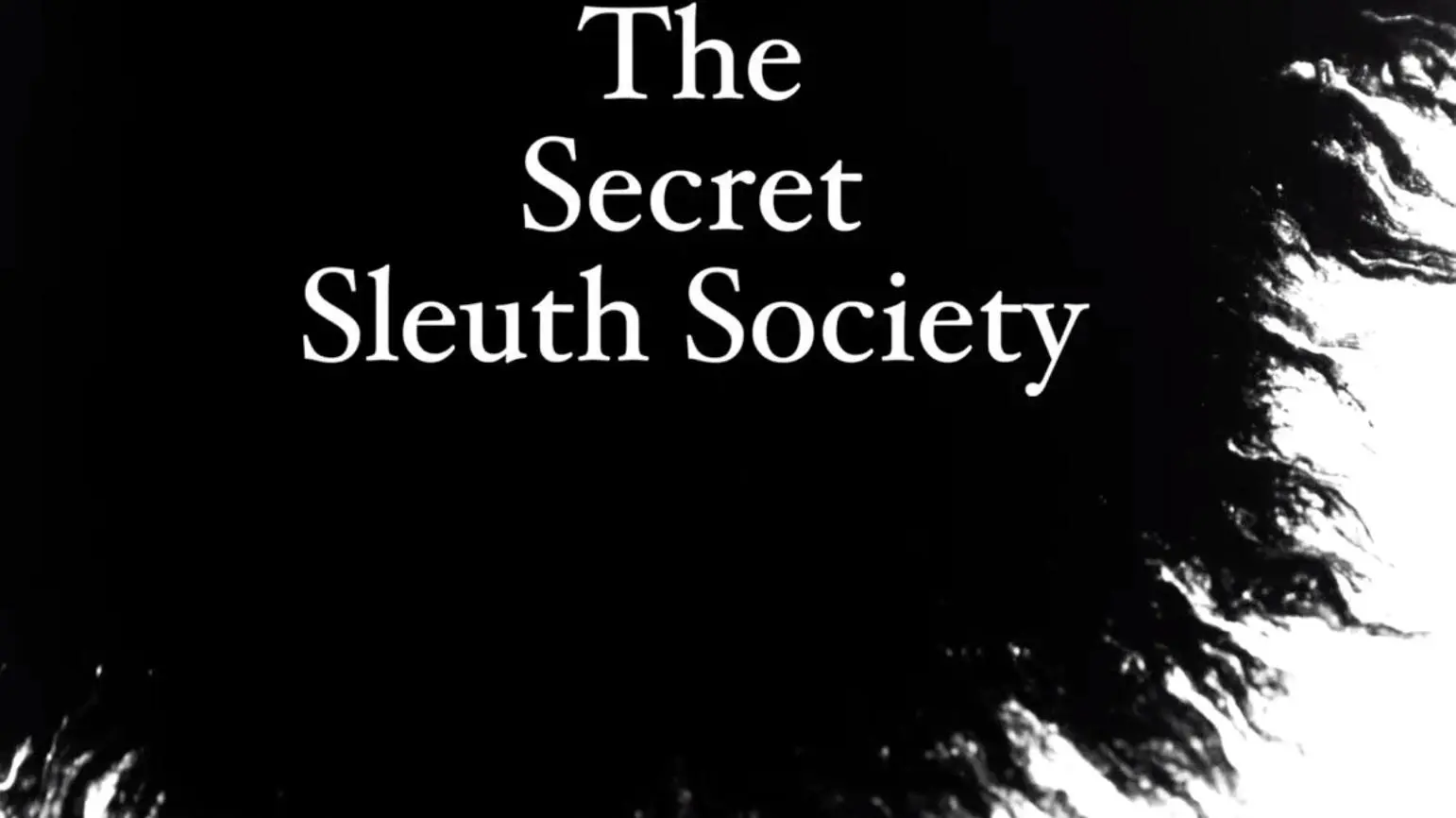 The Secret Sleuth Society_peliplat