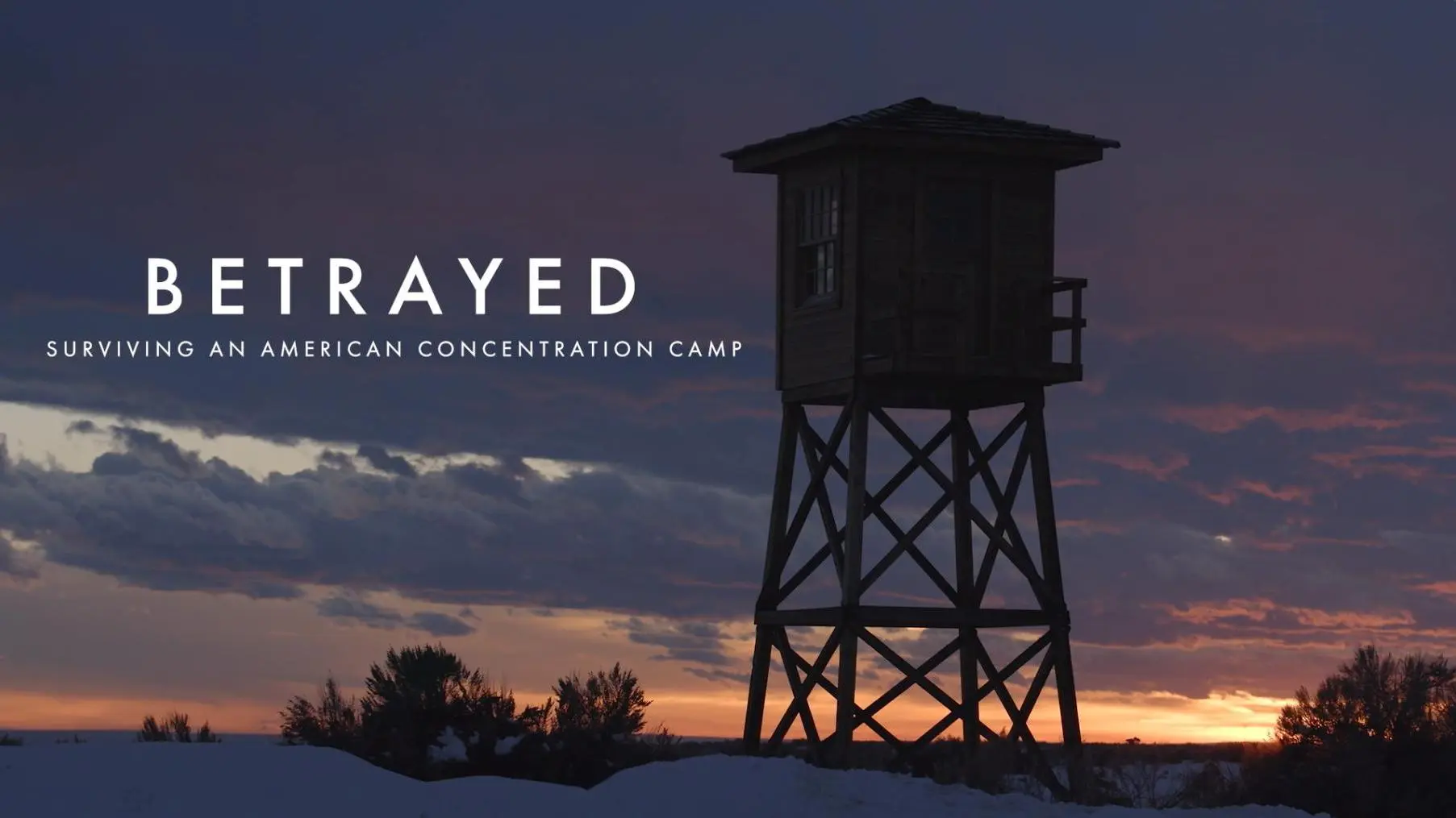 Betrayed: Surviving an American Concentration Camp_peliplat