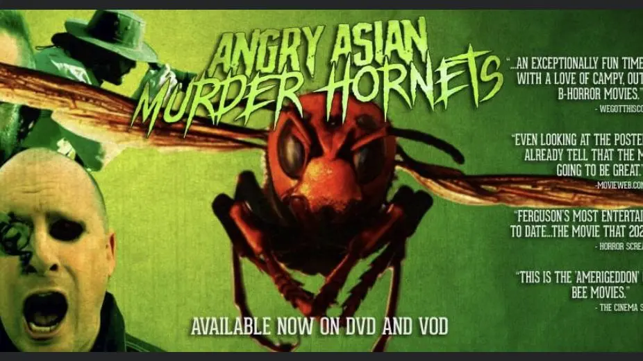 Angry Asian Murder Hornets_peliplat