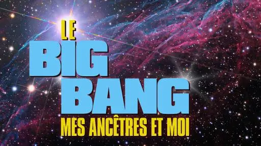 Le big bang, mes ancêtres et moi_peliplat