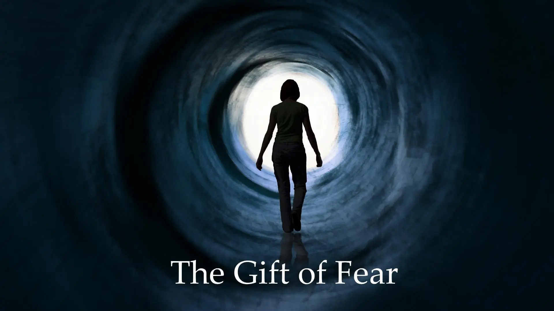 The Gift of Fear_peliplat