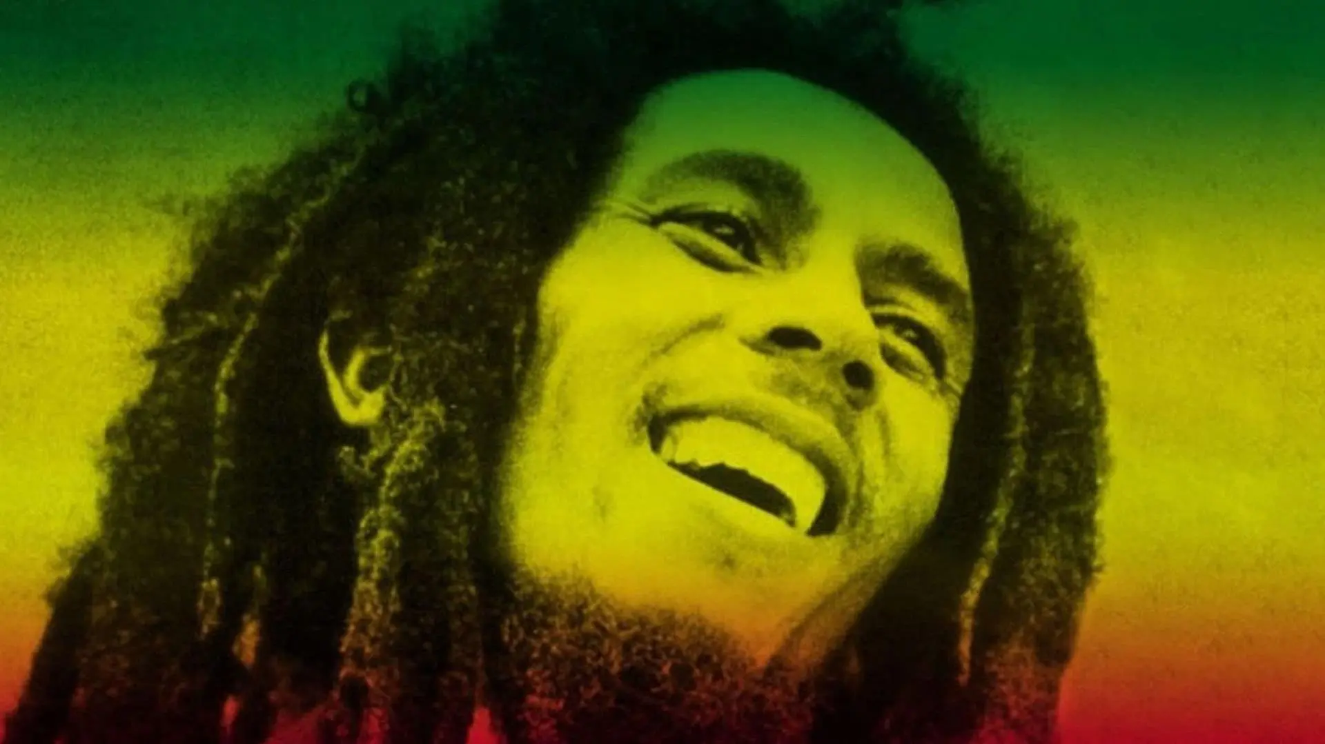 Africa Unite: A Celebration of Bob Marley's 60th Birthday_peliplat