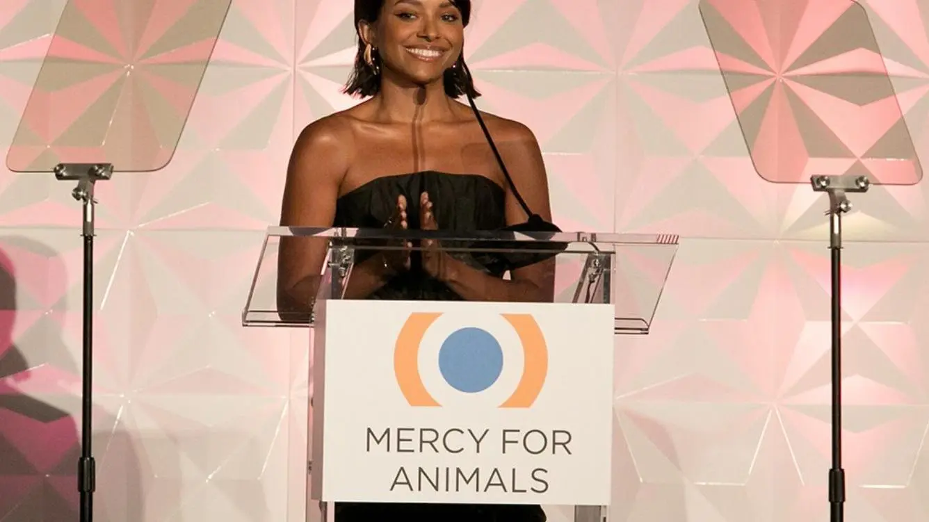 Mercy for Animals: 20th Anniversary Gala_peliplat