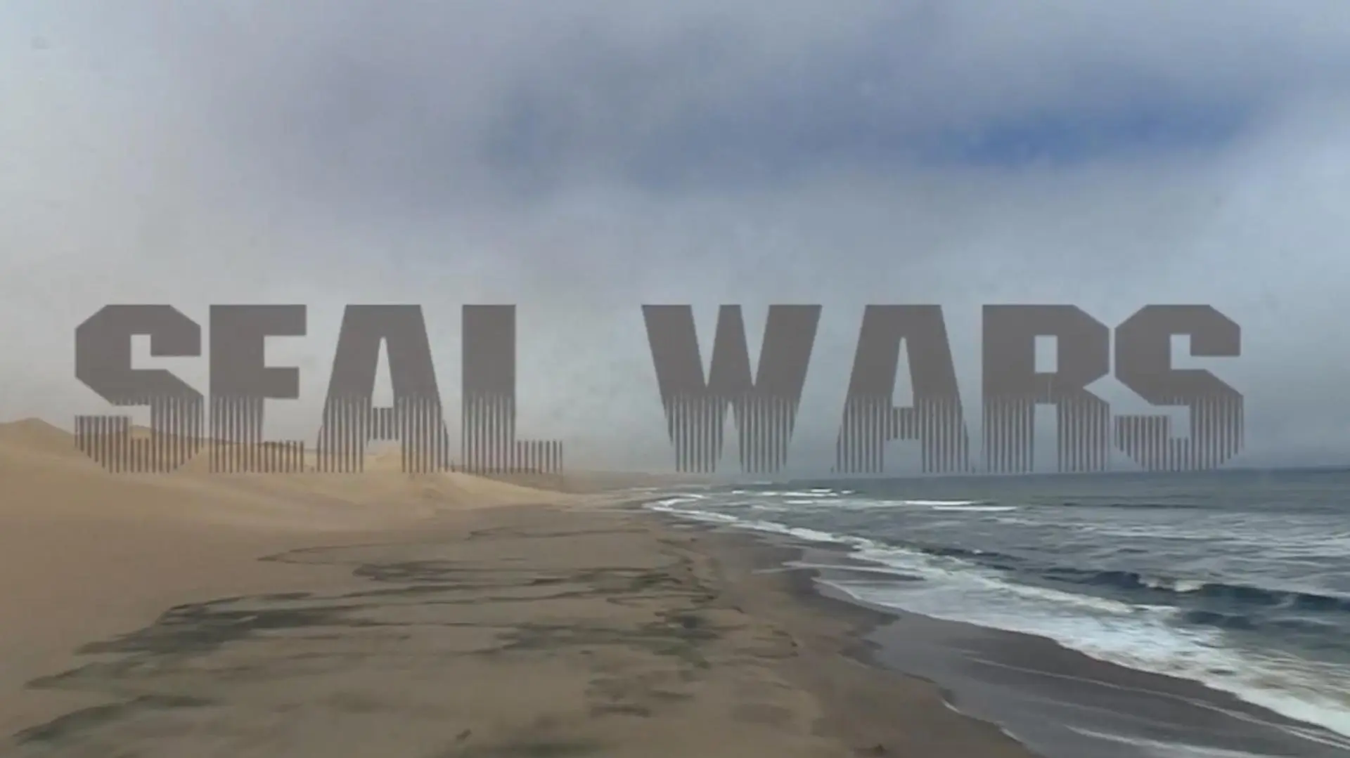 Seal Wars_peliplat