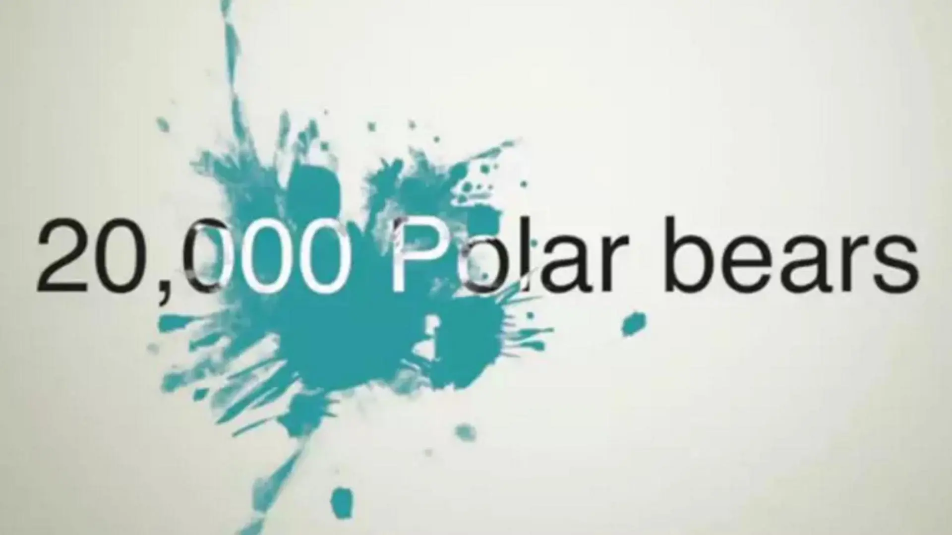 20 000 Polar Bears_peliplat