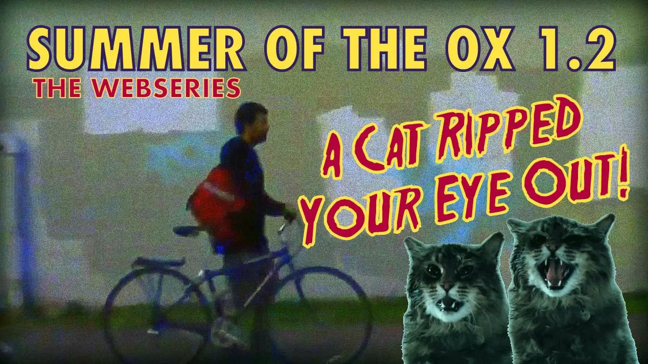 Summer of the Ox_peliplat
