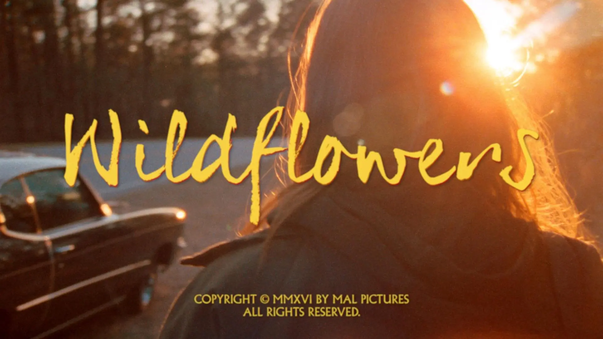 Wildflowers_peliplat
