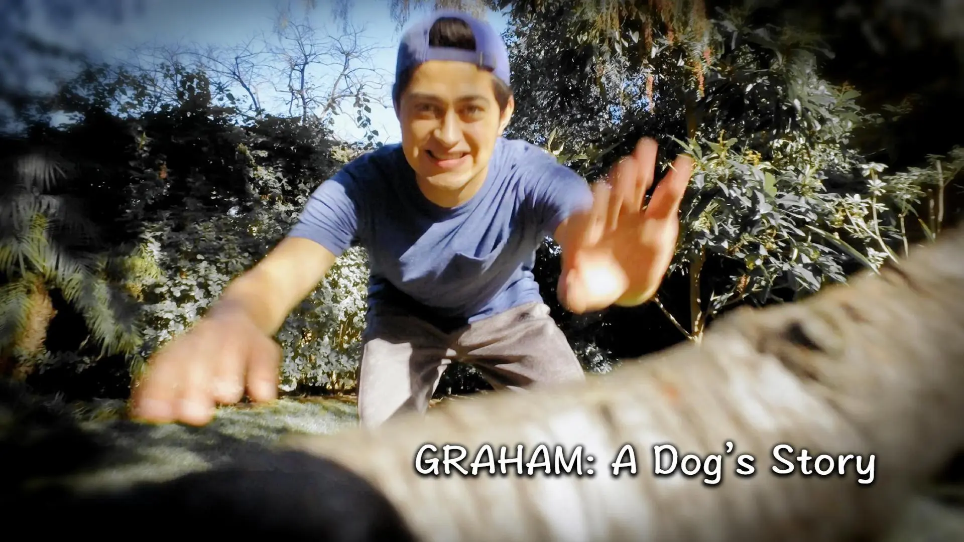 Graham: A Dog's Story_peliplat