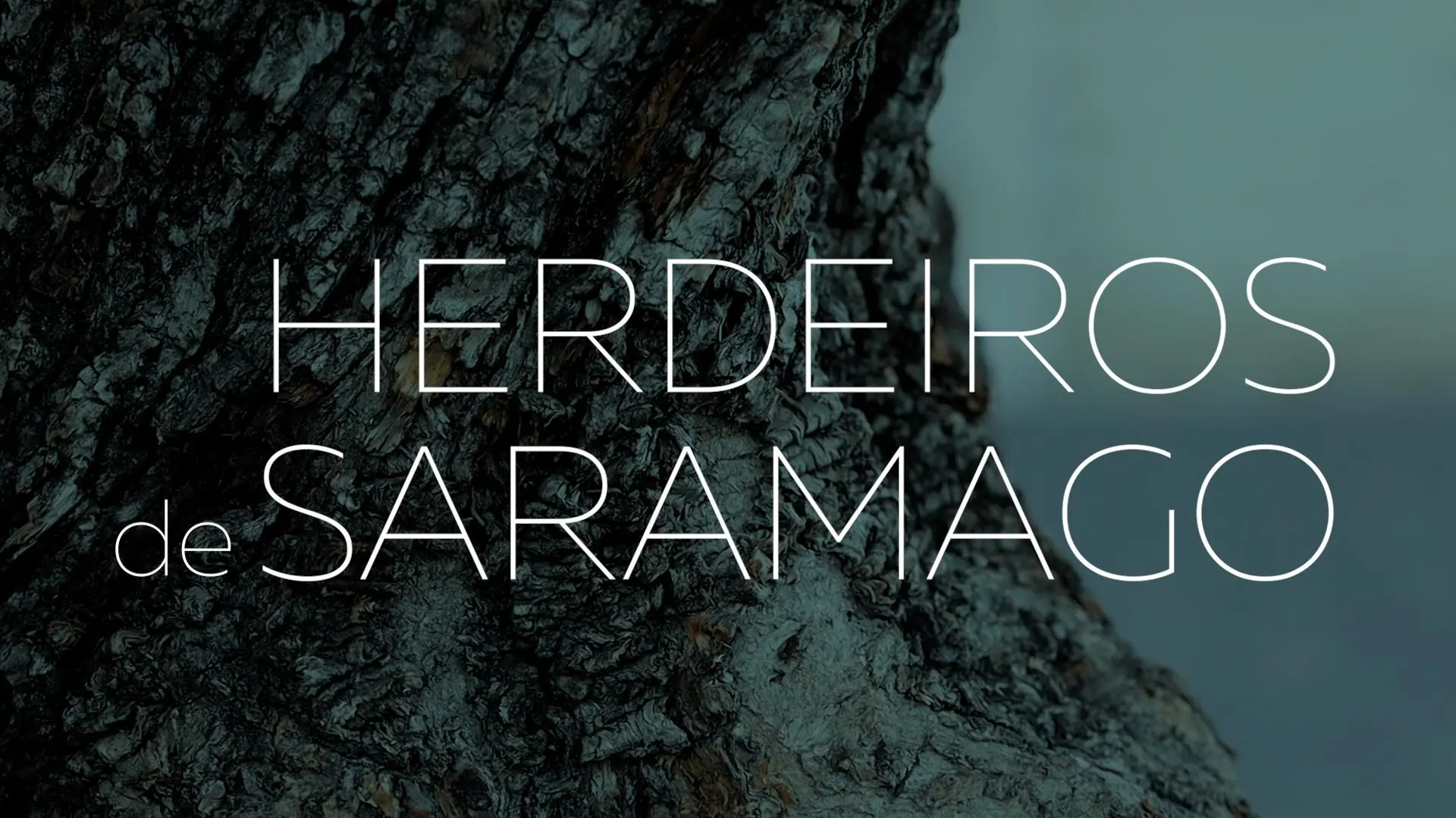 Herdeiros de Saramago_peliplat