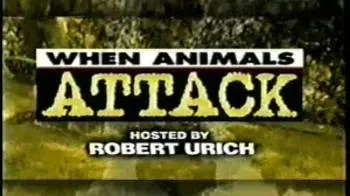 When Animals Attack!_peliplat
