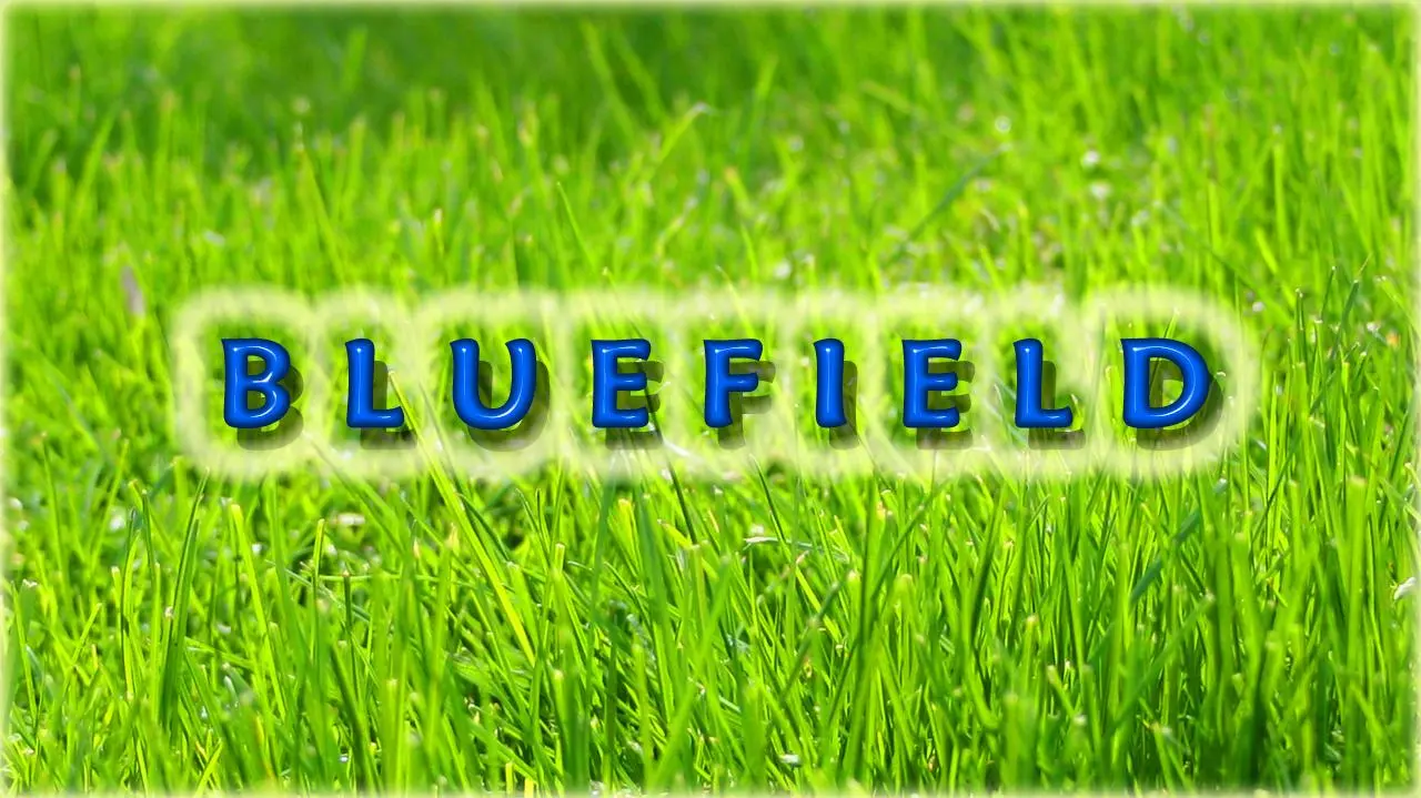 Bluefield_peliplat