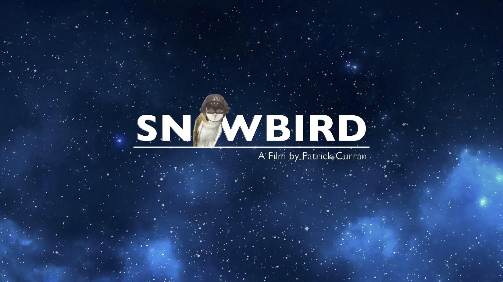 Snowbird_peliplat