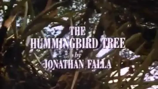 The Hummingbird Tree_peliplat
