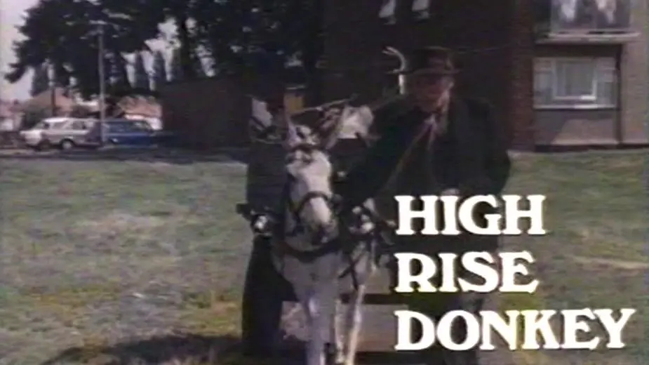 High Rise Donkey_peliplat