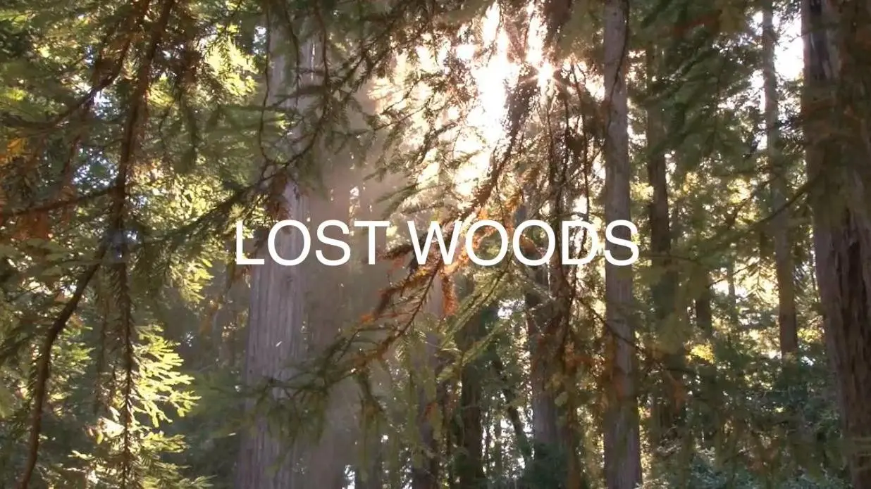 Lost Woods_peliplat