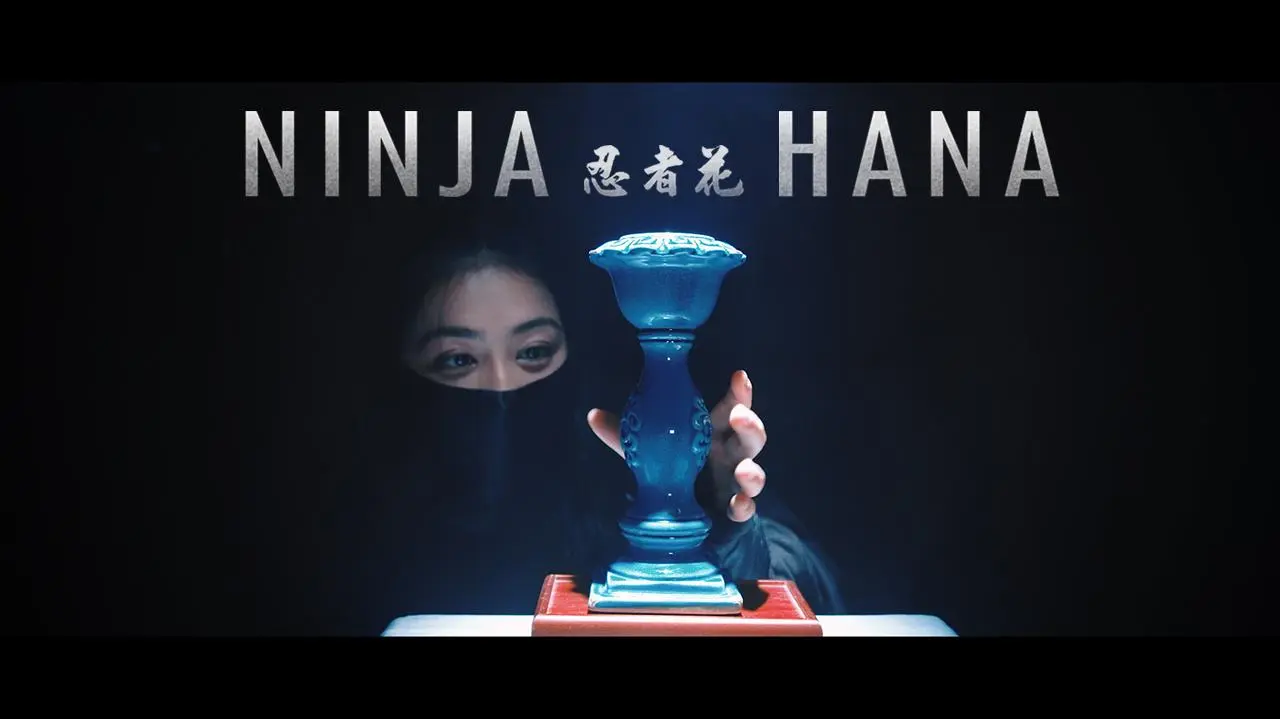 Ninja Hana_peliplat