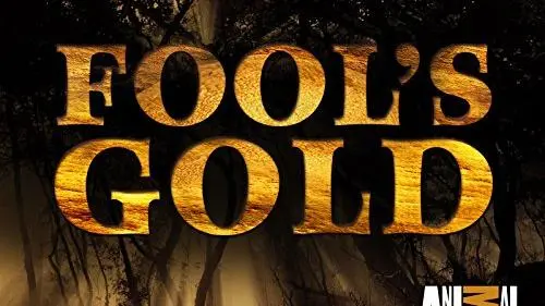 Fool's Gold_peliplat