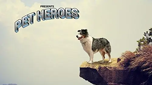 Pet Heroes_peliplat