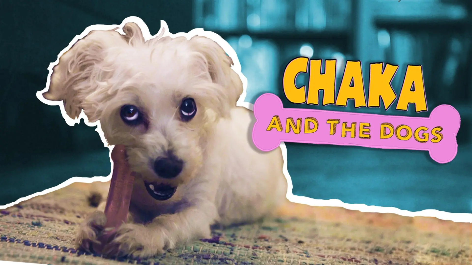 Chaka and the Dogs_peliplat