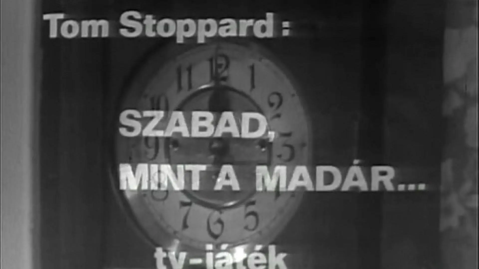 Szabad, mint a madár_peliplat