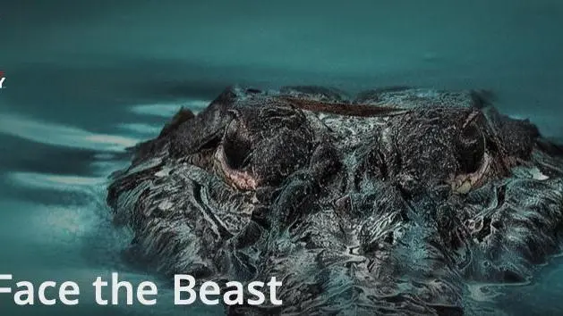Face the Beast_peliplat