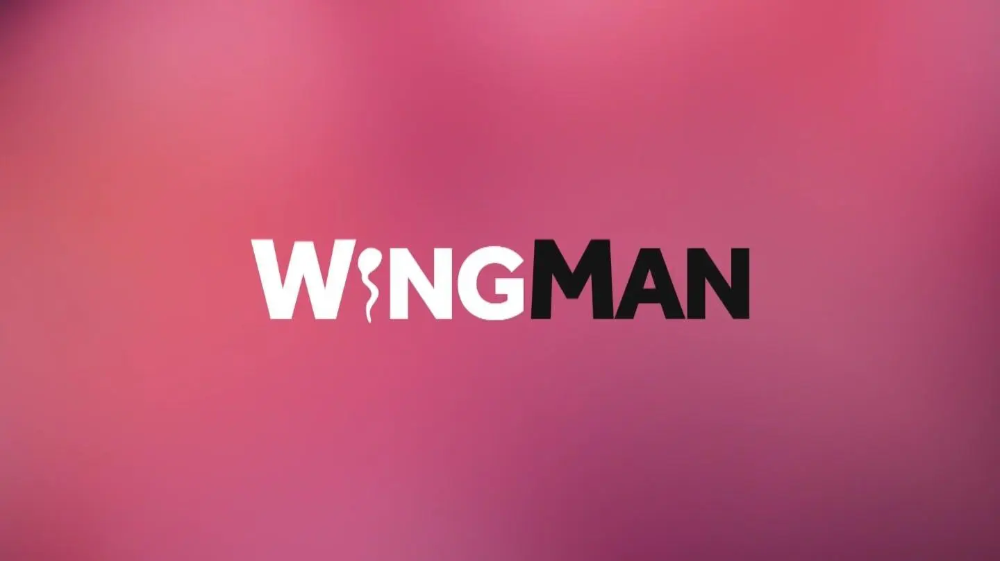 Wingman_peliplat